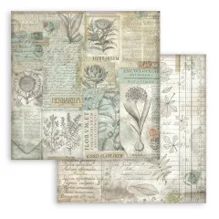 Herbarium Silvae - 12x12 Maxi Background Selection