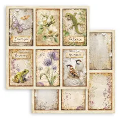 All Around - 12x12 Paper Pack