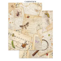 Stamperia - Junk Journal Backgrounds, Stickers, Cut-Outs - All Around