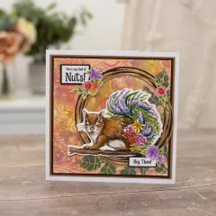 Clear Stamp & Cutting Die - Sheena Douglass - Garden Visitors - Nuts About You