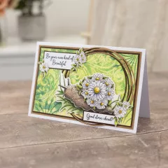 Clear Stamp & Cutting Die - Sheena Douglass - Garden Visitors - Take It Easy