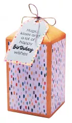 Studio Light - Die-Cut Designer Giftboxes - Essentials Nr. 258 - Hip Hip Hooray