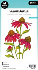 Studio Light Clear Stamps - Essentials Nr. 543 - Echinacea