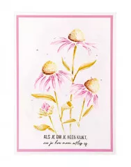 Studio Light Clear Stamps - Essentials Nr. 543 - Echinacea