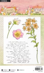 Studio Light - Clear Stamps - Spring Meadow Nr. 774 - Florals