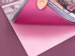 Thorn & Bloom - 12x12 Paper Pad