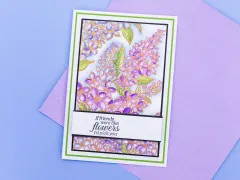 Embossing Folder - The Gilded Age - Lilac