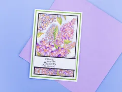 Embossing Folder - The Gilded Age - Lilac