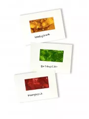 Alcohol Ink Kit - Conservatory