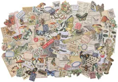 Idea-Ology Ephemera Pack - Field Notes