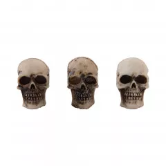 Idea-Ology - Halloween Skulls + Bones