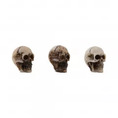 Idea-Ology - Halloween Skulls + Bones