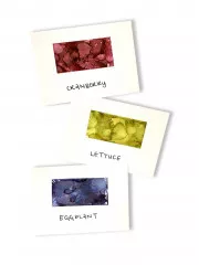 Alcohol Ink Kit - Farmer\s Market