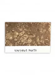 Distress Spray Stain - Vintage Photo