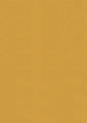 Vintage Carnival - A4 Luxury Linen Cardstock