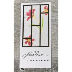 Visible Image - Clear Stamps - Blocked Up