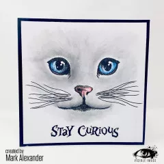 Visible Image - Clear Stamps - Curious Cats