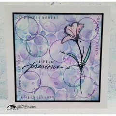 Visible Image - Clear Stamps - Precious Life