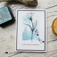 Visible Image - Clear Stamps - Precious Life
