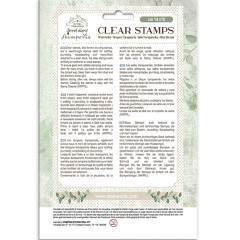 Stamperia Clear Stamps - Secret Diary - Inspiration