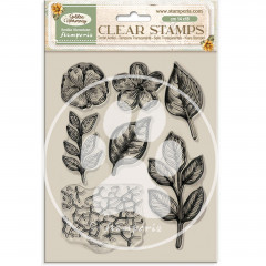 Stamperia Clear Stamps - Golden Harmony