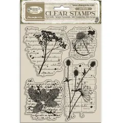 Stamperia Clear Stamps - Herbarium Silvae - Botanic