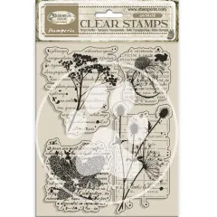 Stamperia Clear Stamps - Herbarium Silvae - Botanic