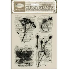 Stamperia Clear Stamps - Herbarium Silvae - Botanic