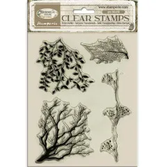 Stamperia Clear Stamps - Herbarium Silvae - Tree Branches