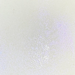 Unicorn Bling - Glitz Spritz