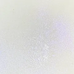 Unicorn Bling - Glitz Spritz