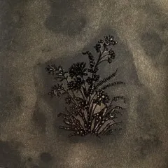 Blushing Banshee - Glitz Spritz