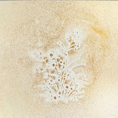 Dragon's Delight - Glitz Spritz