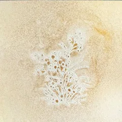 Dragon's Delight - Glitz Spritz