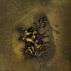 Dragon's Delight - Glitz Spritz