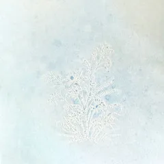 Shimmering Siren - Glitz Spritz