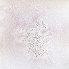 Lycan Lilac - Glitz Spritz