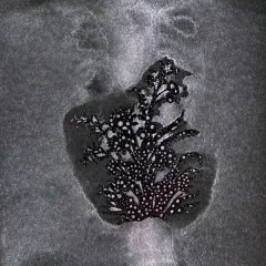 Lycan Lilac - Glitz Spritz