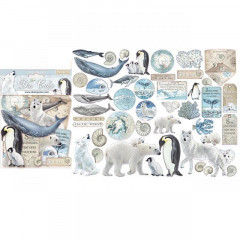 Stamperia Die-Cuts - Arctic Antarctic