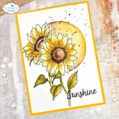 Metal Cutting Die - Sunshine