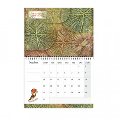 Stamperia Calendar 2022 - Amazonia