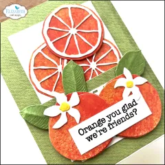 Metal Cutting Die - Fresh Fruit