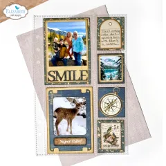 Metal Cutting Die - Delightful Discovery - Pocket Page Inserts 2