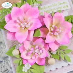 Metal Cutting Die - Beautiful Blooms - Lenten Rose
