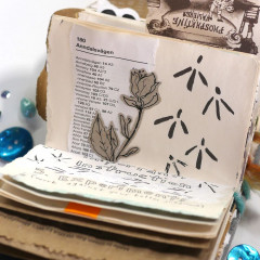 Clear Stamps - Spring Fling