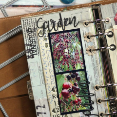 Clear Stamps - In My Garden