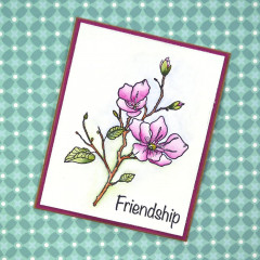 Clear Stamps - Blossom