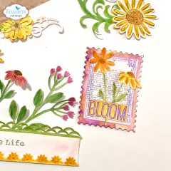 Clear Stamps - Bloom