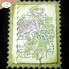 Clear Stamps - Love & Roses