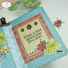 Clear Stamps - Playful Sentiments